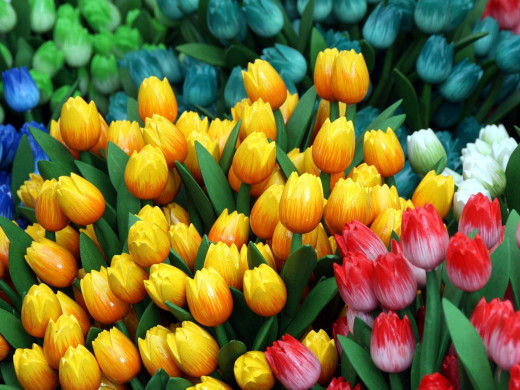 995180 (a): :2560x1920